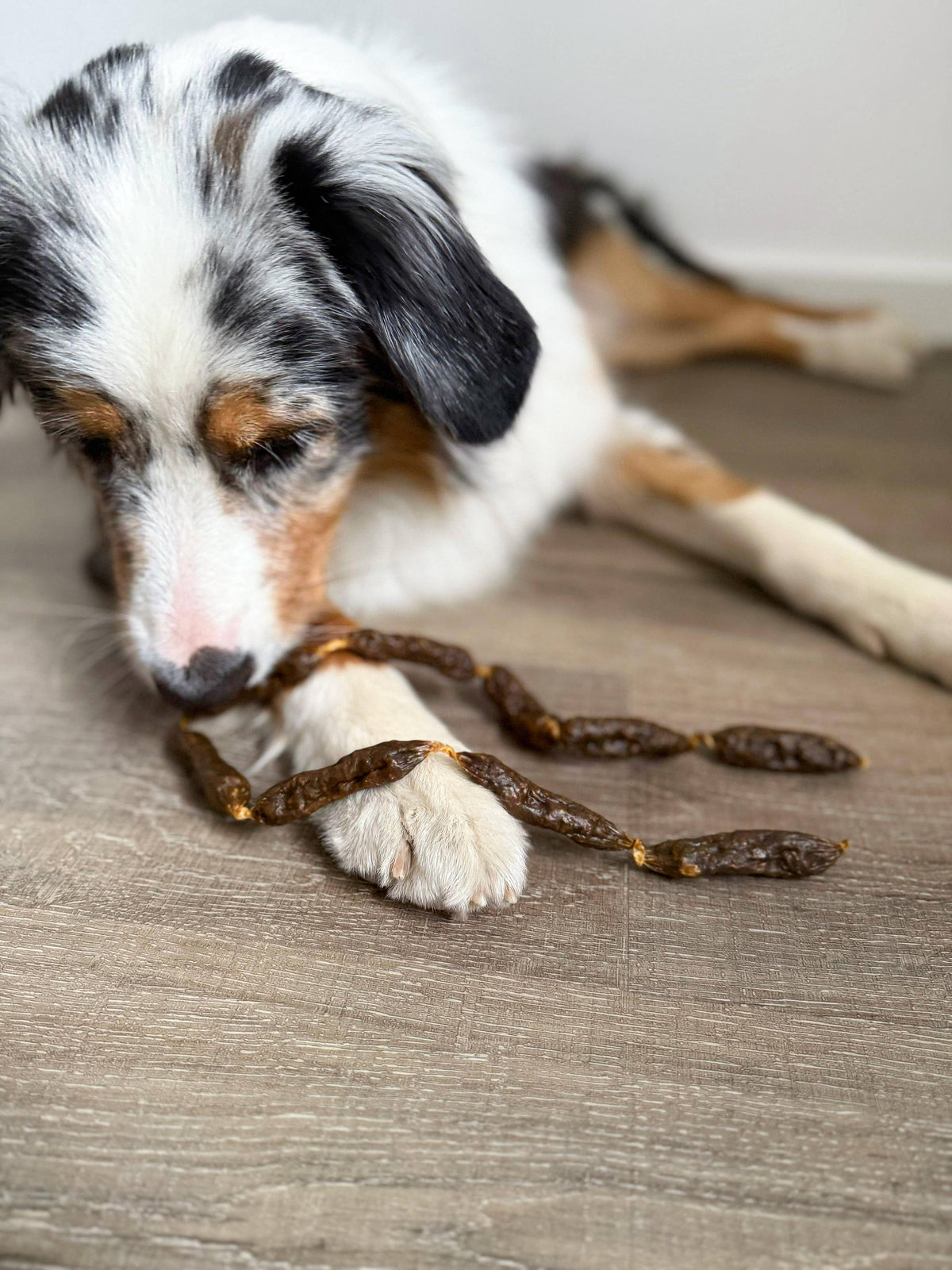 Dried turkey sausages for dogs