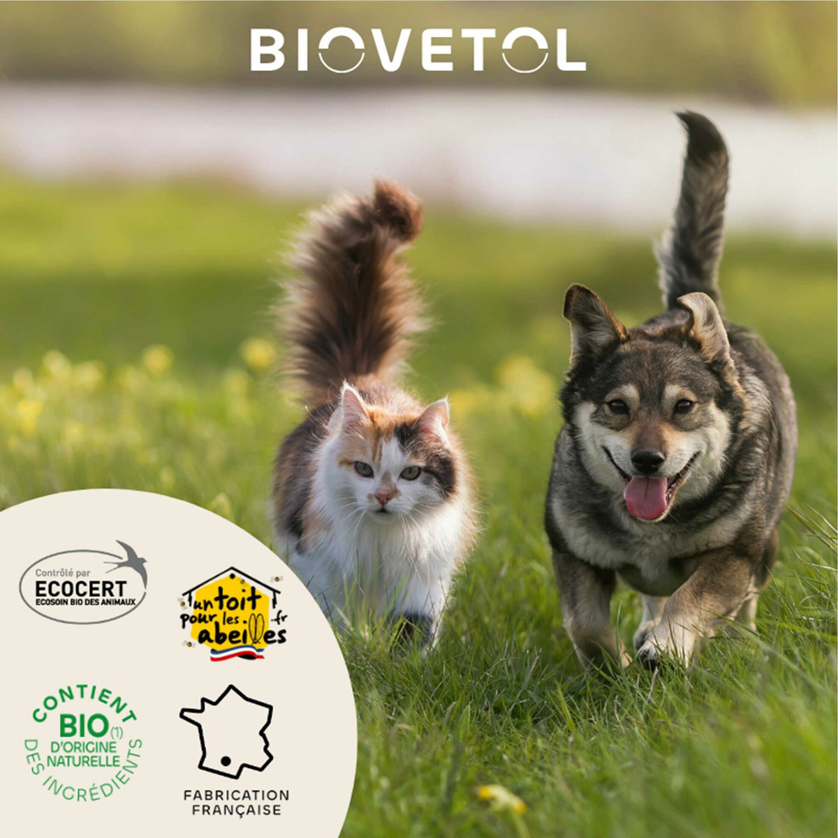 Organic cleansing lotion for dog and cat ears