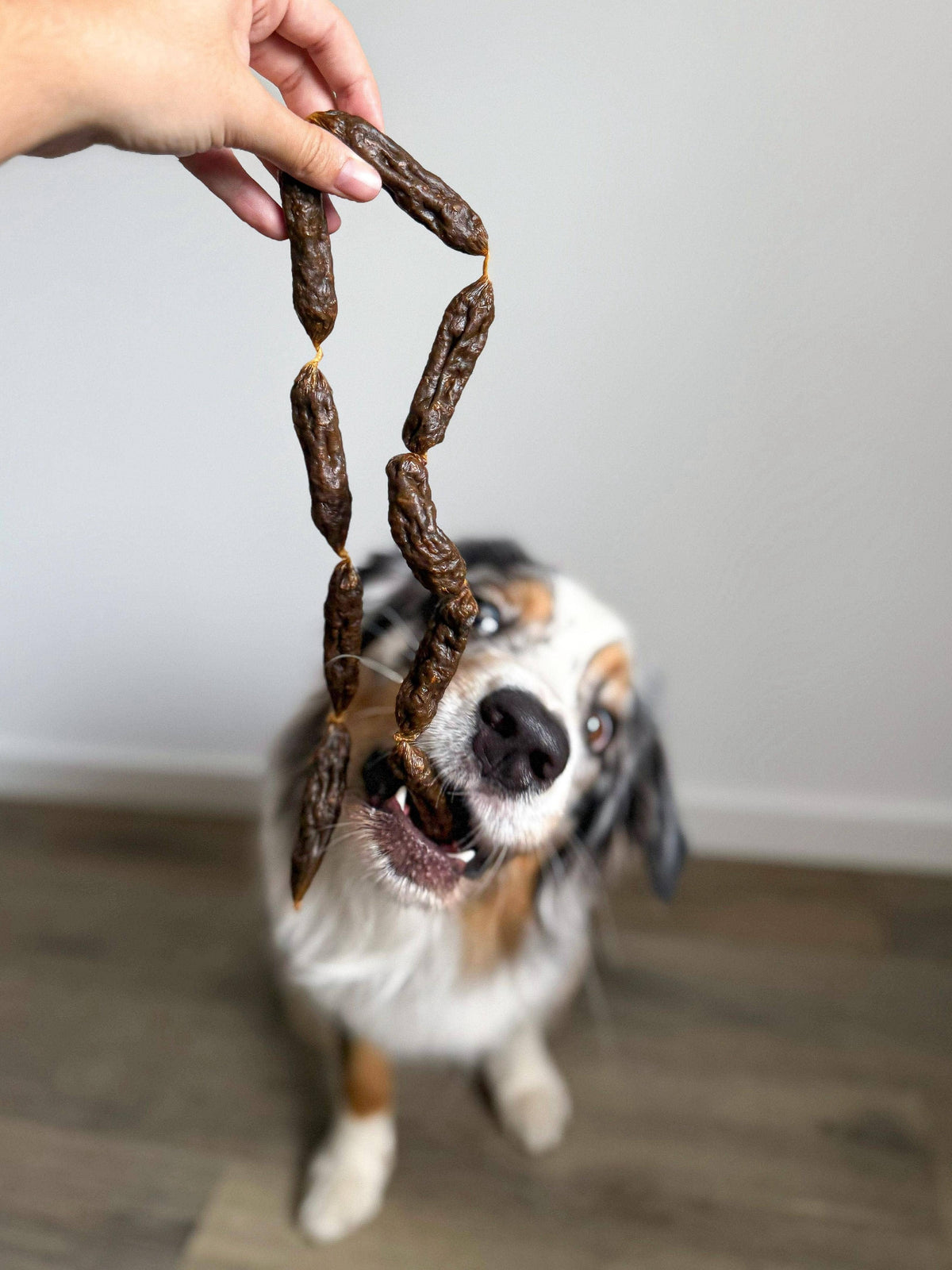 Dried turkey sausages for dogs
