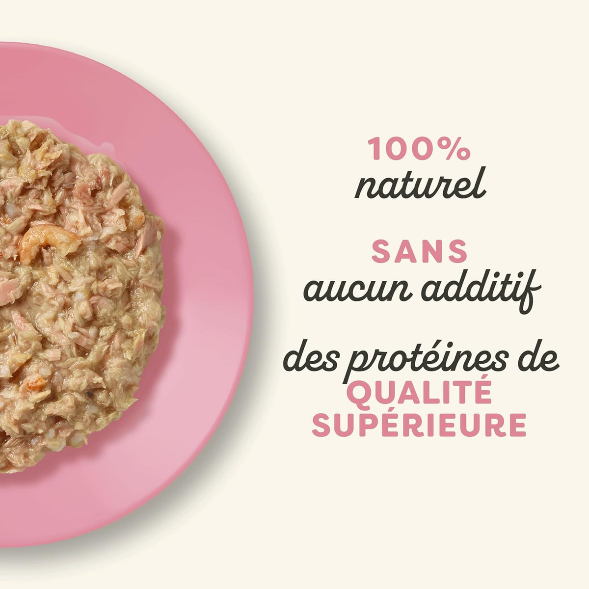 Tuna and shrimp fillet in broth for adult cats