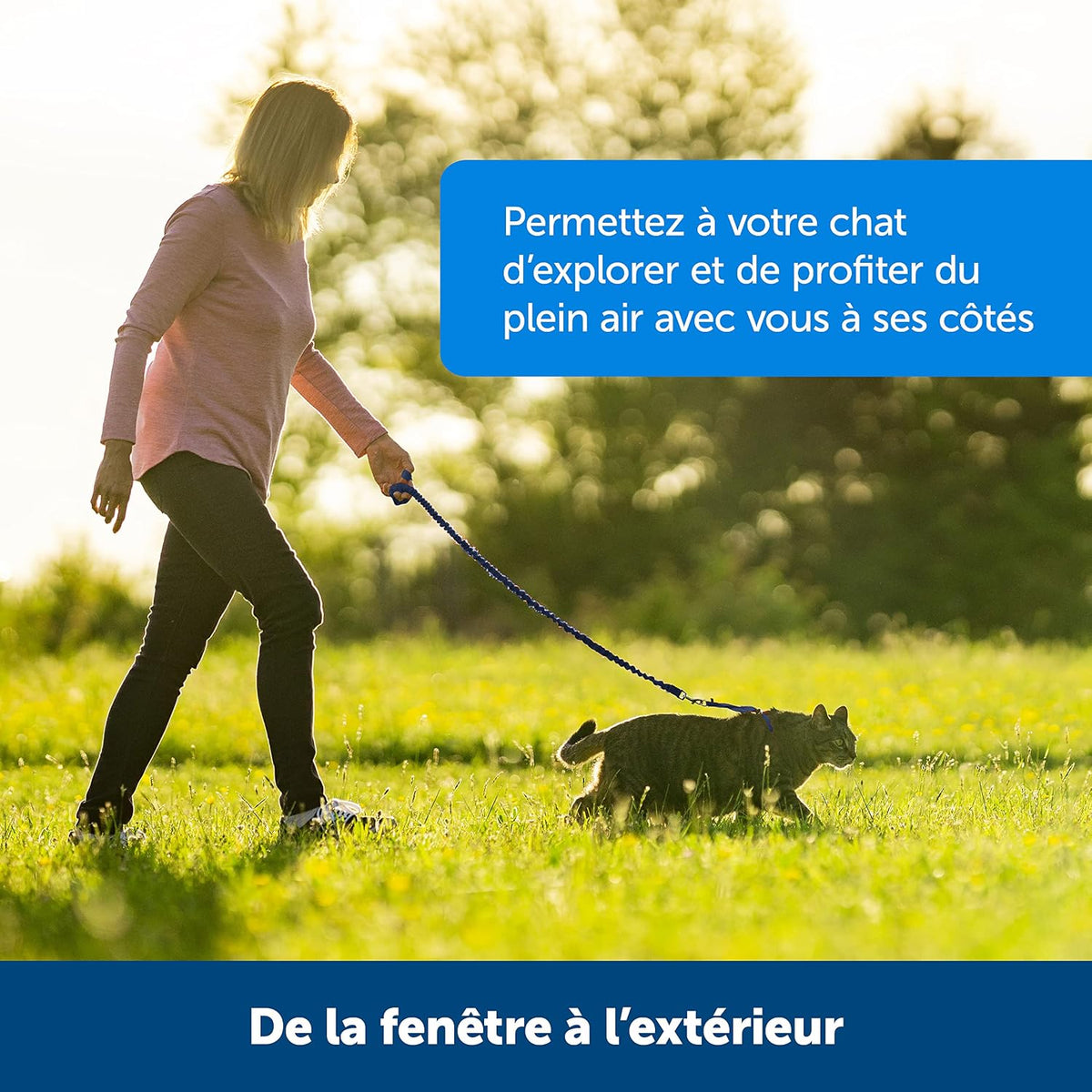 Harnais et laisse Easy Walk® pour chats