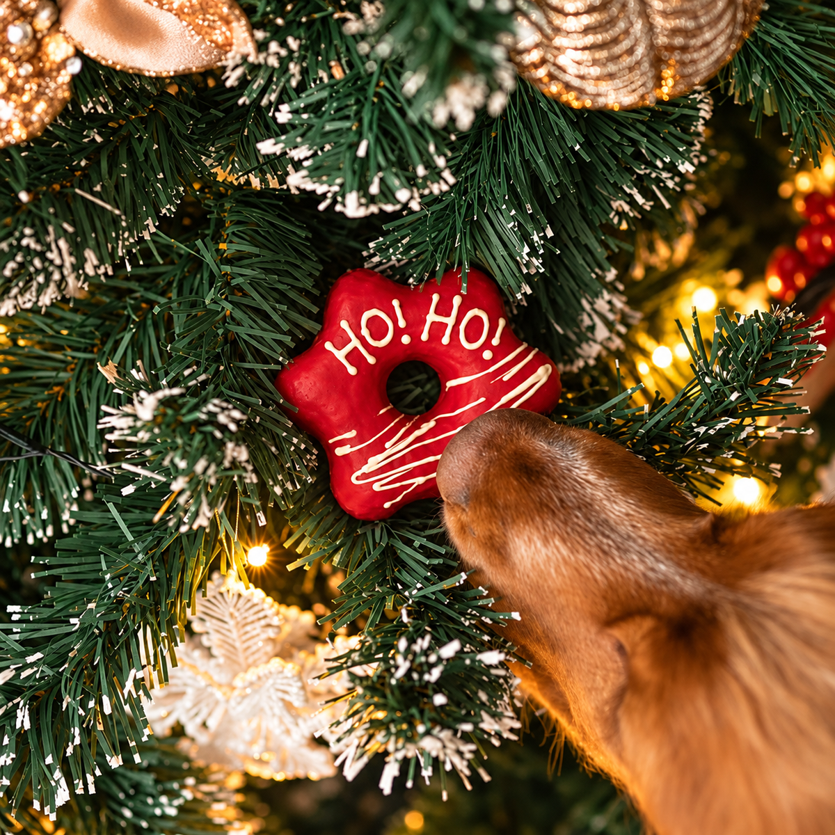 Donuts étoiles de Noël canard et dinde pour chiens