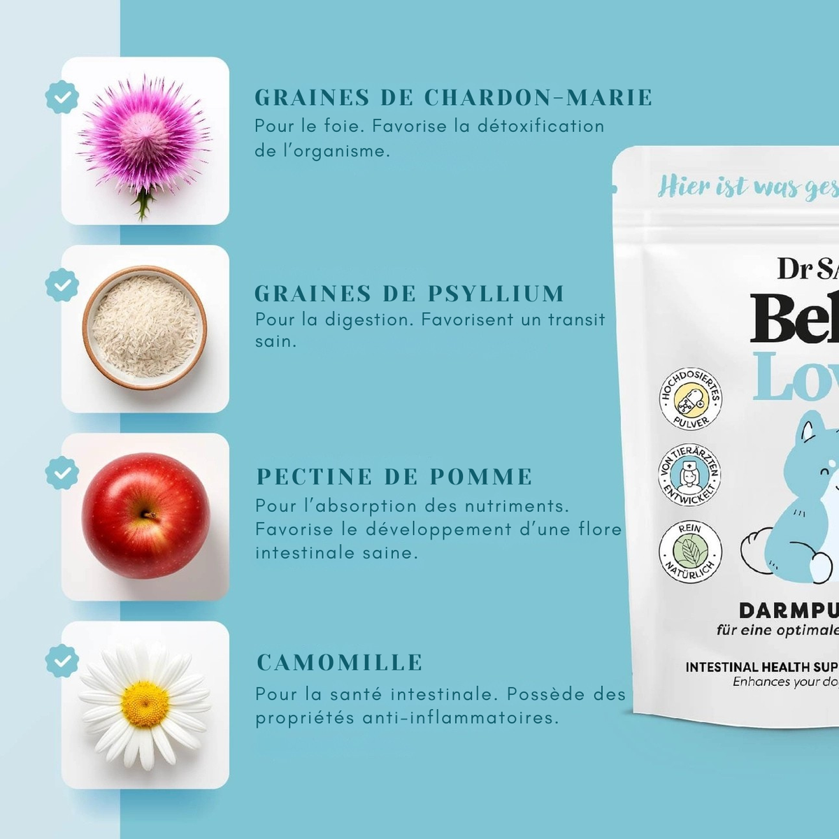 Herbal intestinal powder