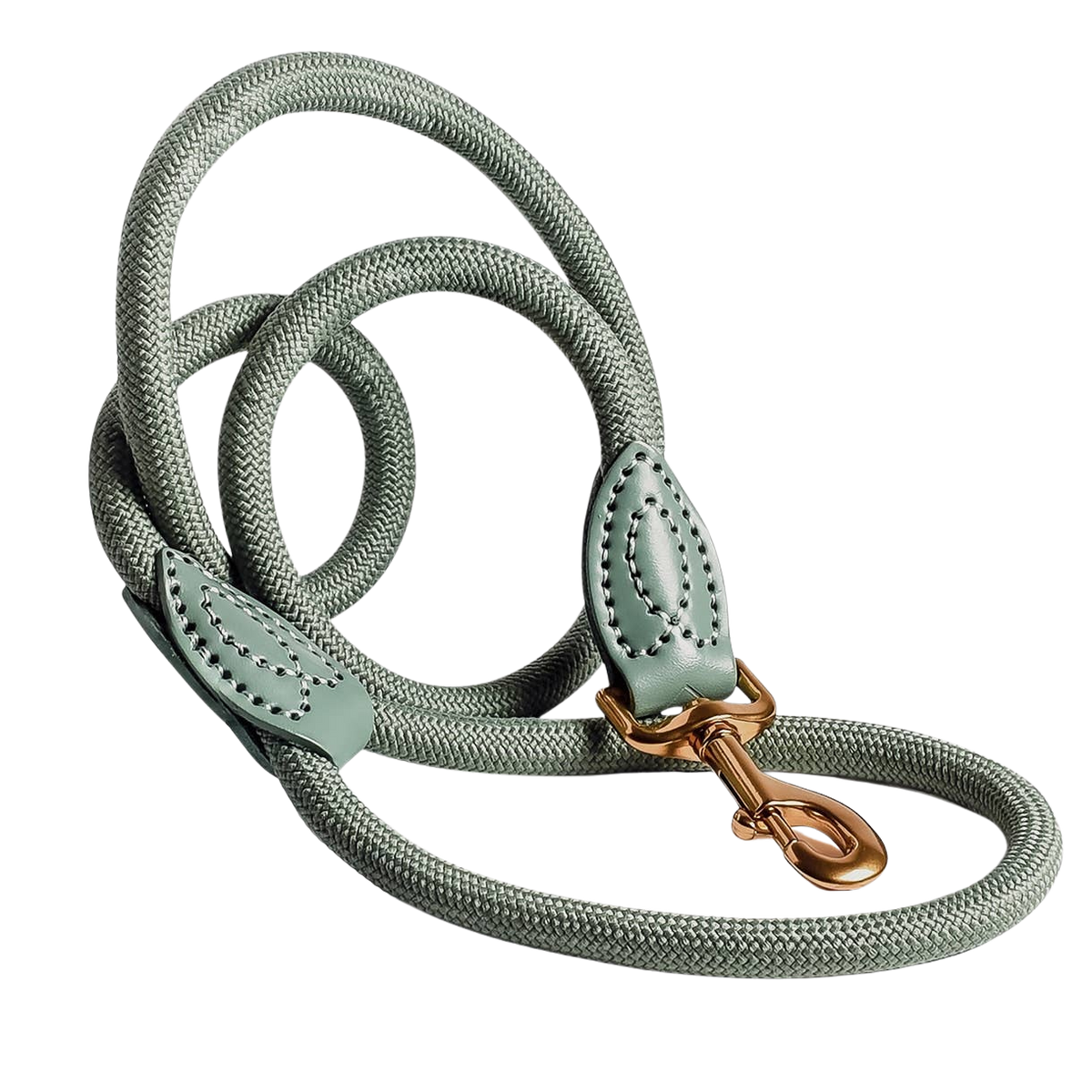 Leash made of polyamide and leather