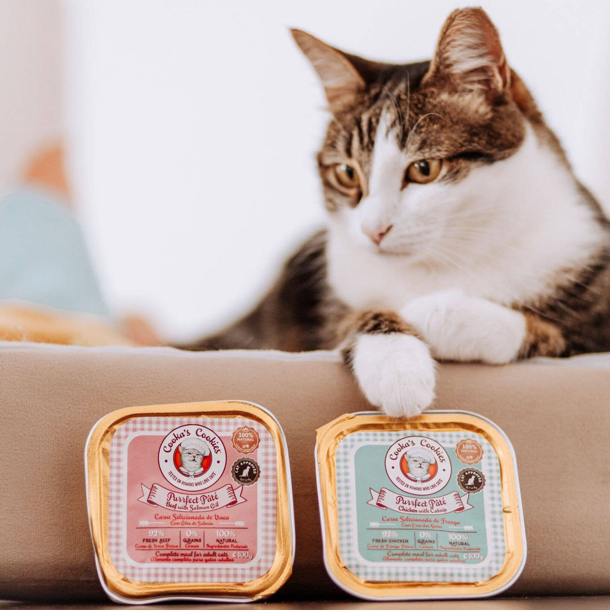 Chicken and catnip pie