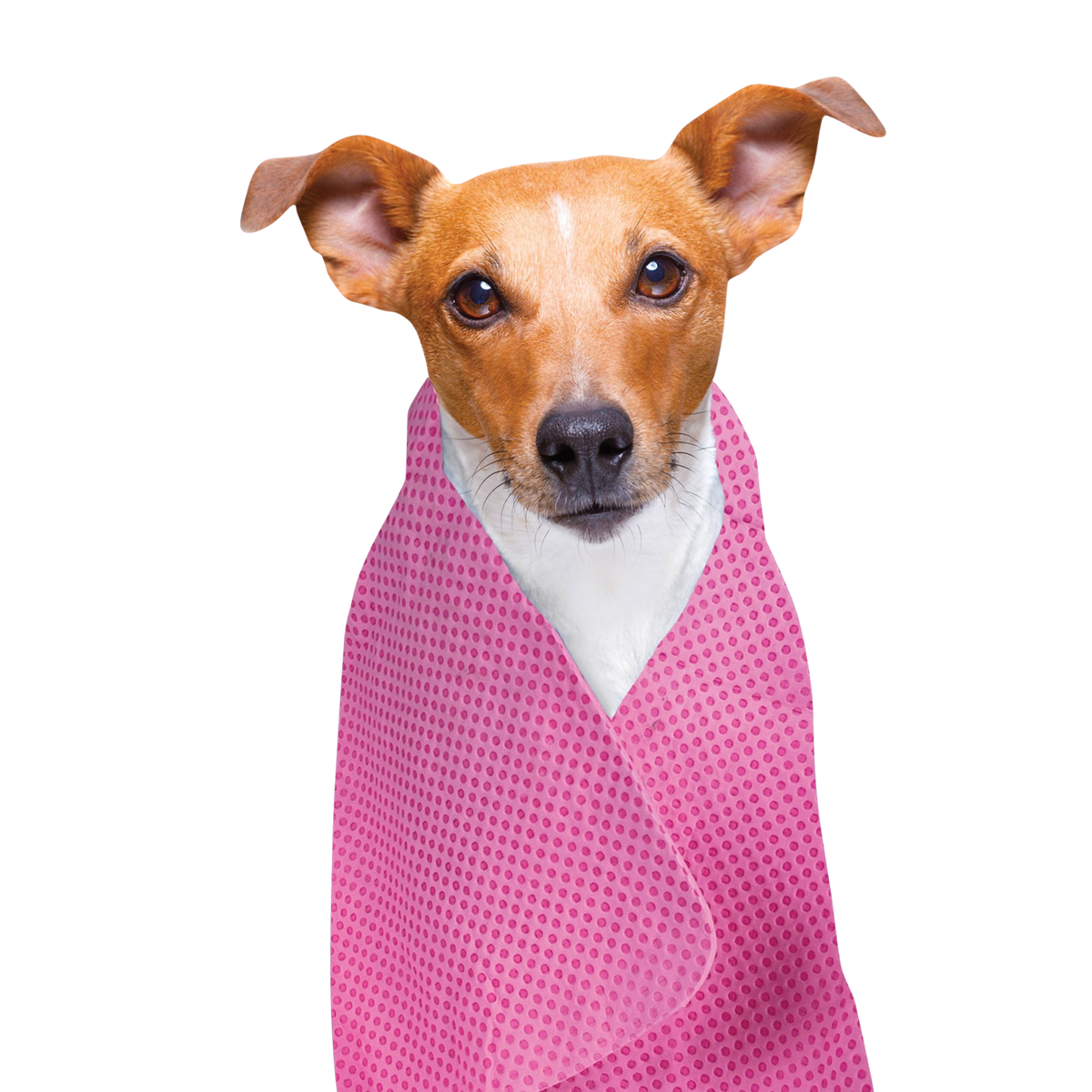 Cooling Towel for Dogs and Cats