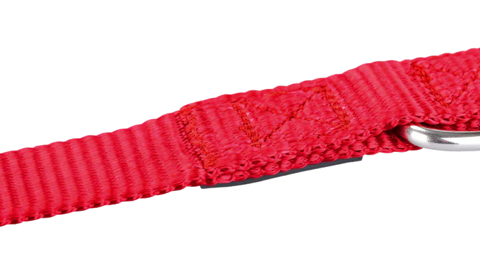 Collier réglable en nylon pour chiens