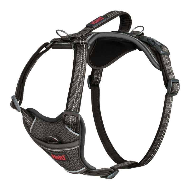 Adjustable anatomical dog harness