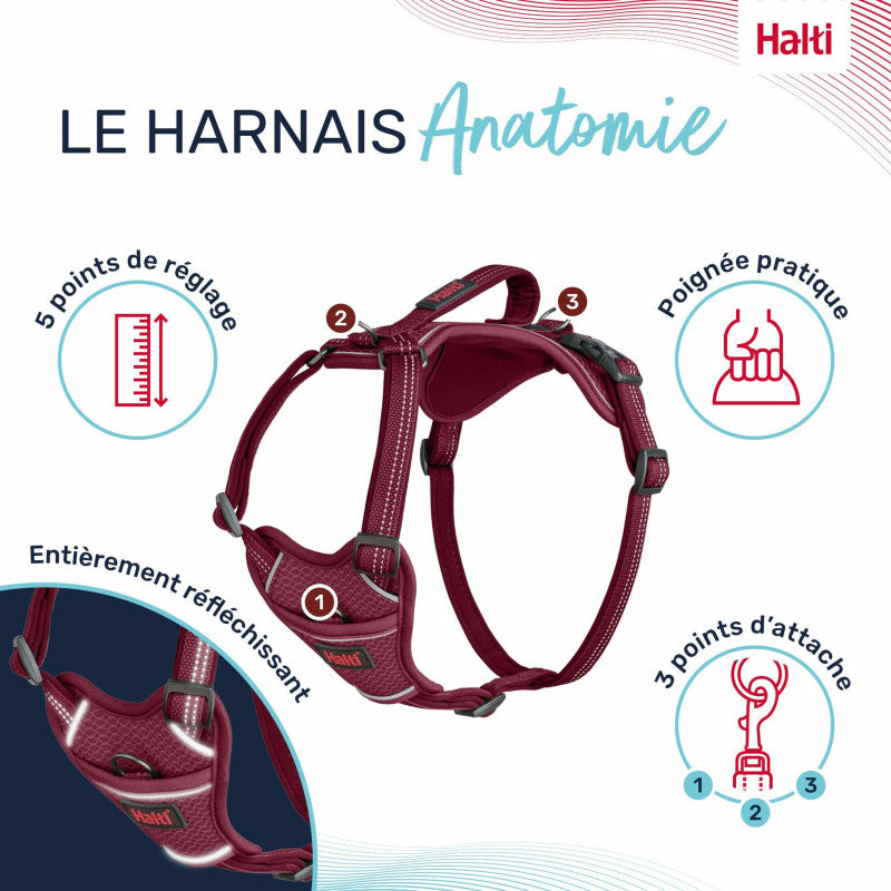 Adjustable anatomical dog harness
