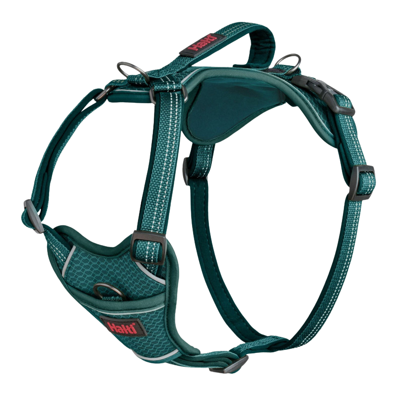 Adjustable anatomical dog harness