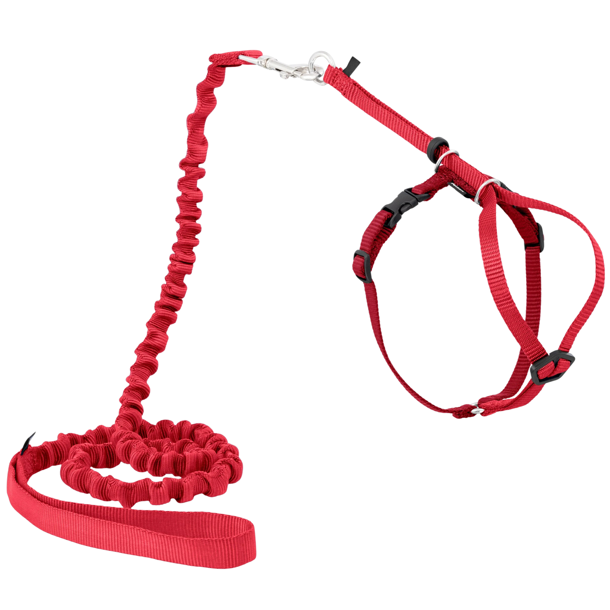 Harnais et laisse Easy Walk® pour chats
