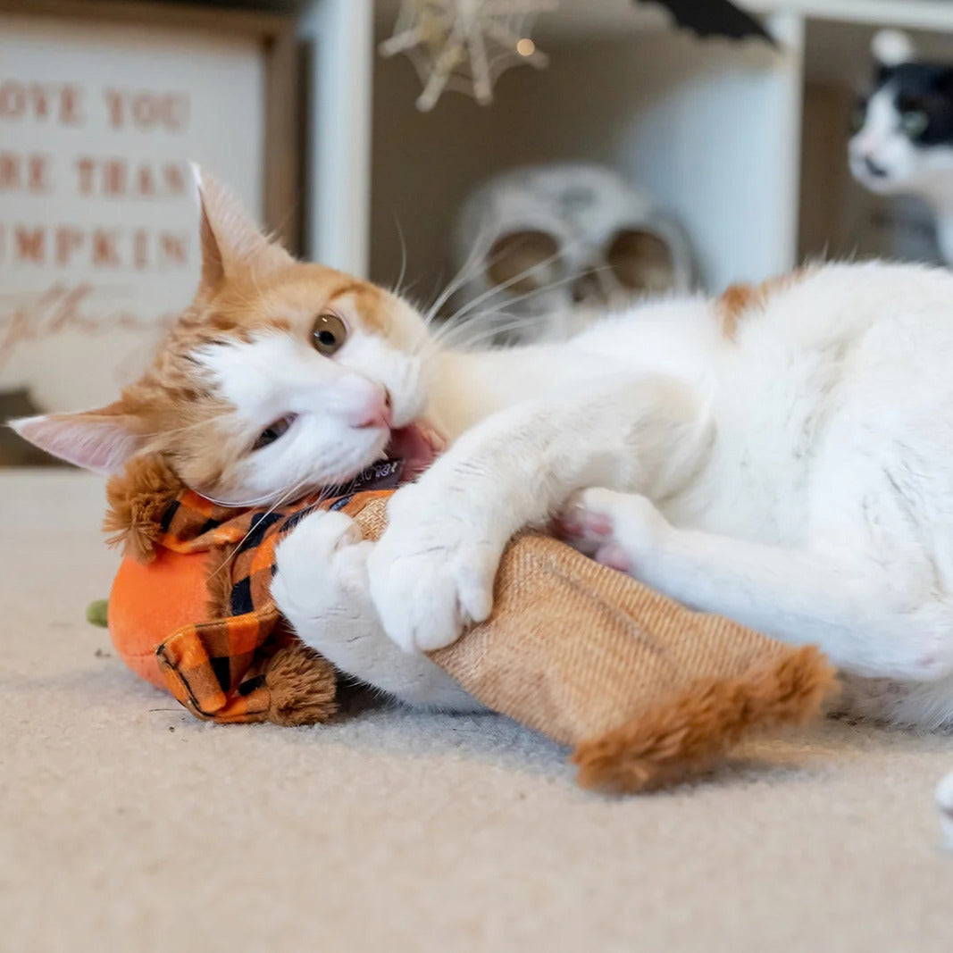 Halloween scarecrow catnip toy for cats