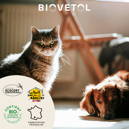 Organic eye lotion for dogs and cats