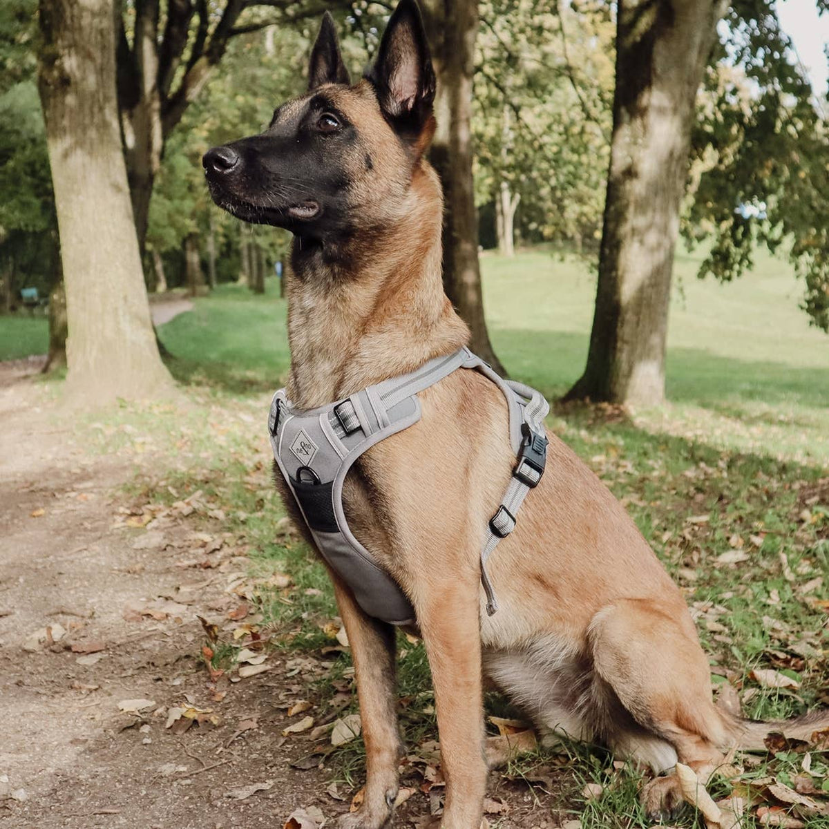 Reflective no-pull dog harness