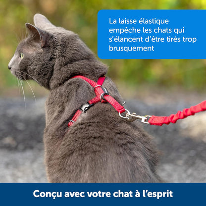 Harnais et laisse Easy Walk® pour chats