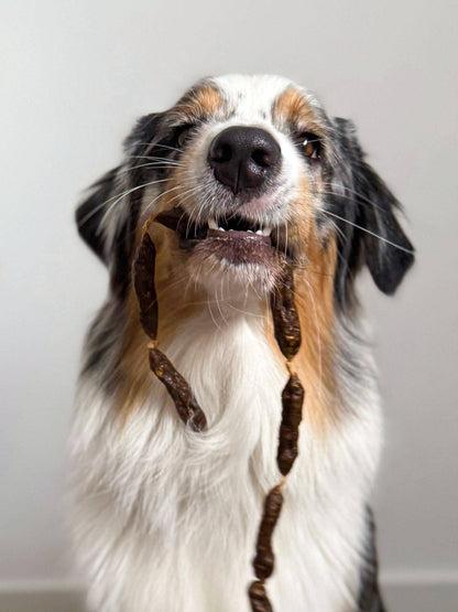 Dried turkey sausages for dogs