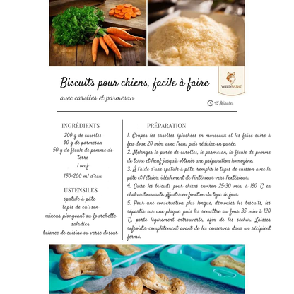 Homemade dog biscuit baking kit
