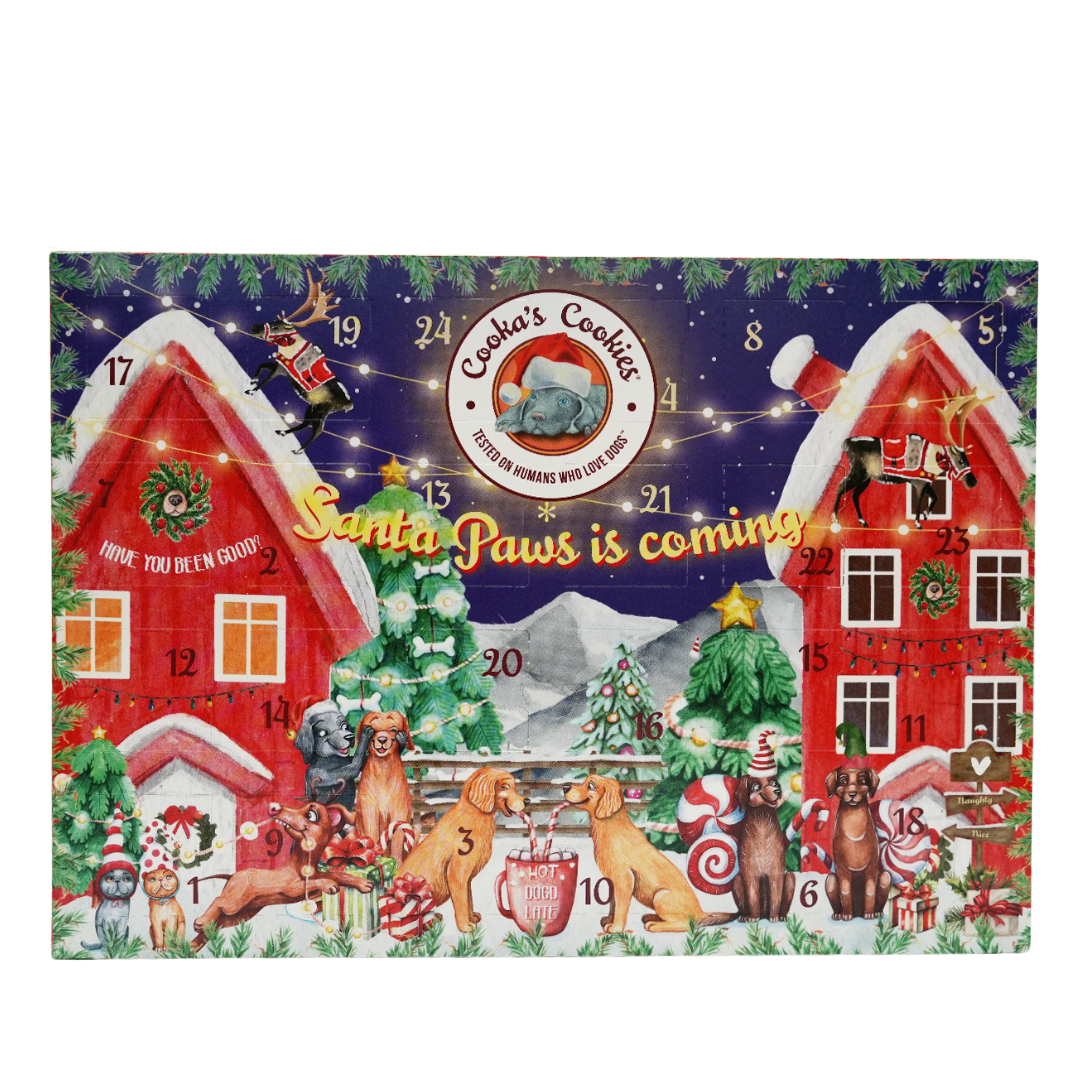 Dog Treat Advent Calendar