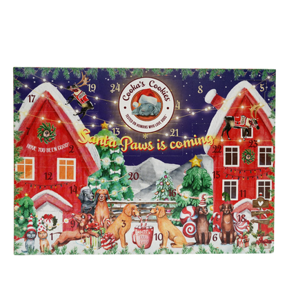 Dog Treat Advent Calendar