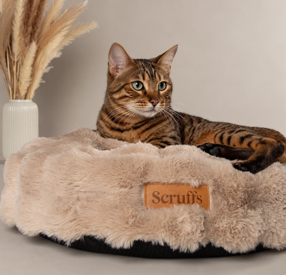 Cozy round cushion for cats and small dogs