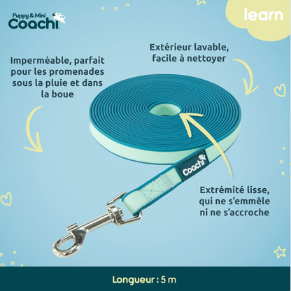 Waterproof leash for puppies and small dogs