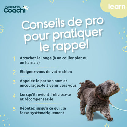 Waterproof leash for puppies and small dogs