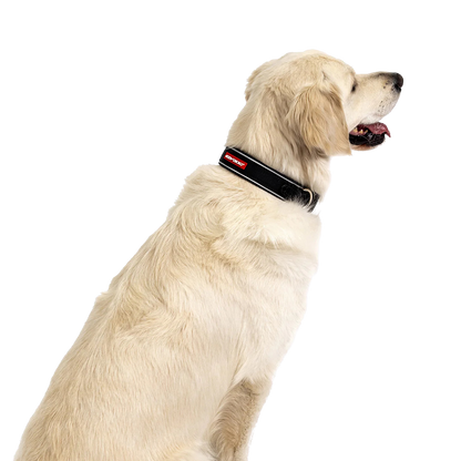 Neo Classic neoprene dog collar