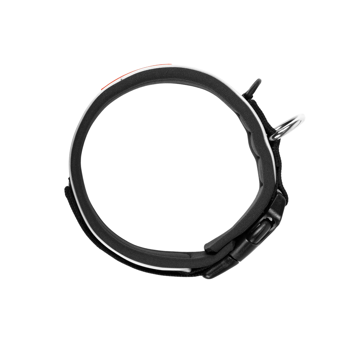 Neo Classic neoprene dog collar