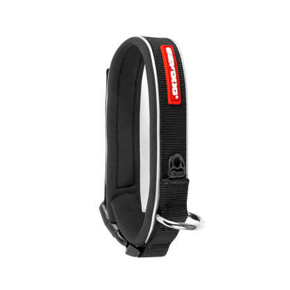 Neo Classic neoprene dog collar