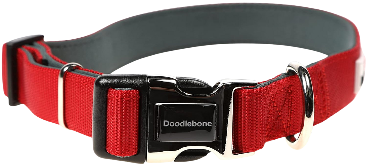 Adjustable Padded Dog Collar