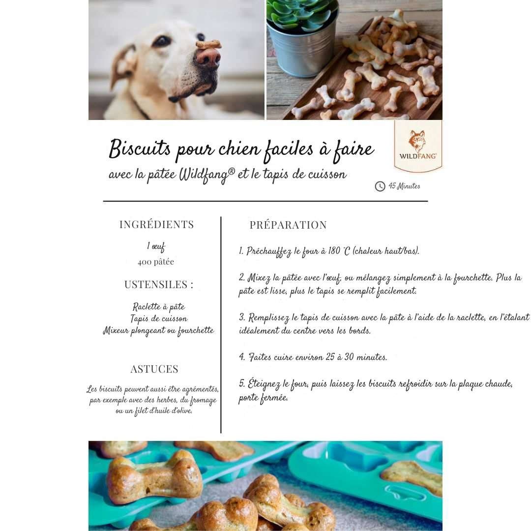 Homemade dog biscuit baking kit