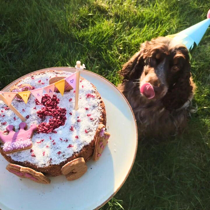 Boxed Cake - Chicken or Krill Cake Mix for Dogs