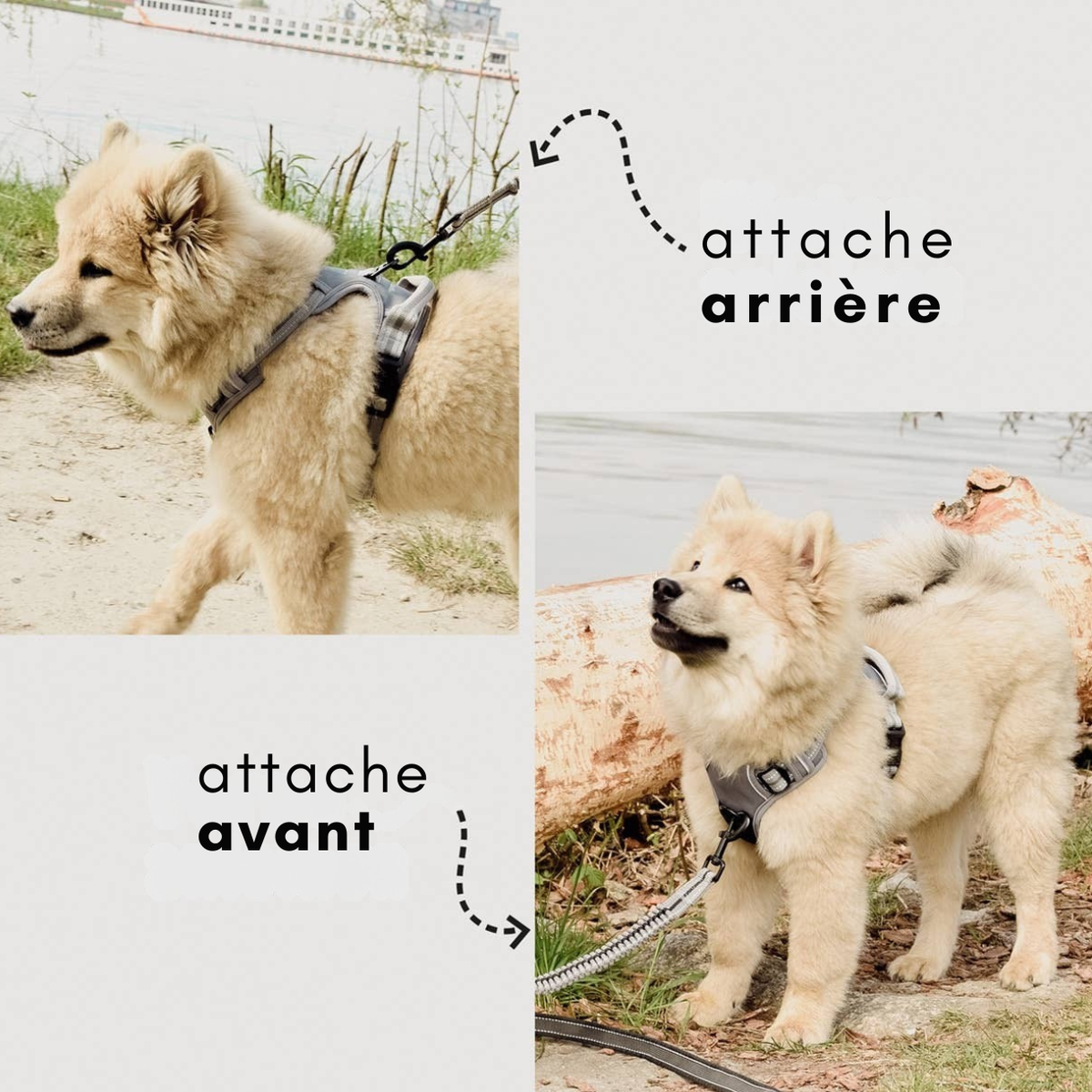 Reflective no-pull dog harness