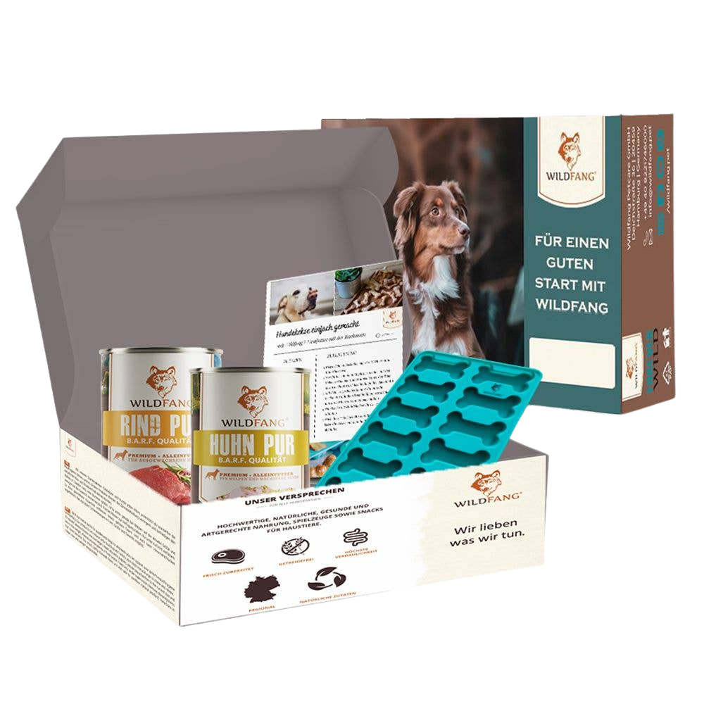 Homemade dog biscuit baking kit