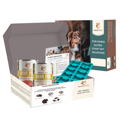 Homemade dog biscuit baking kit