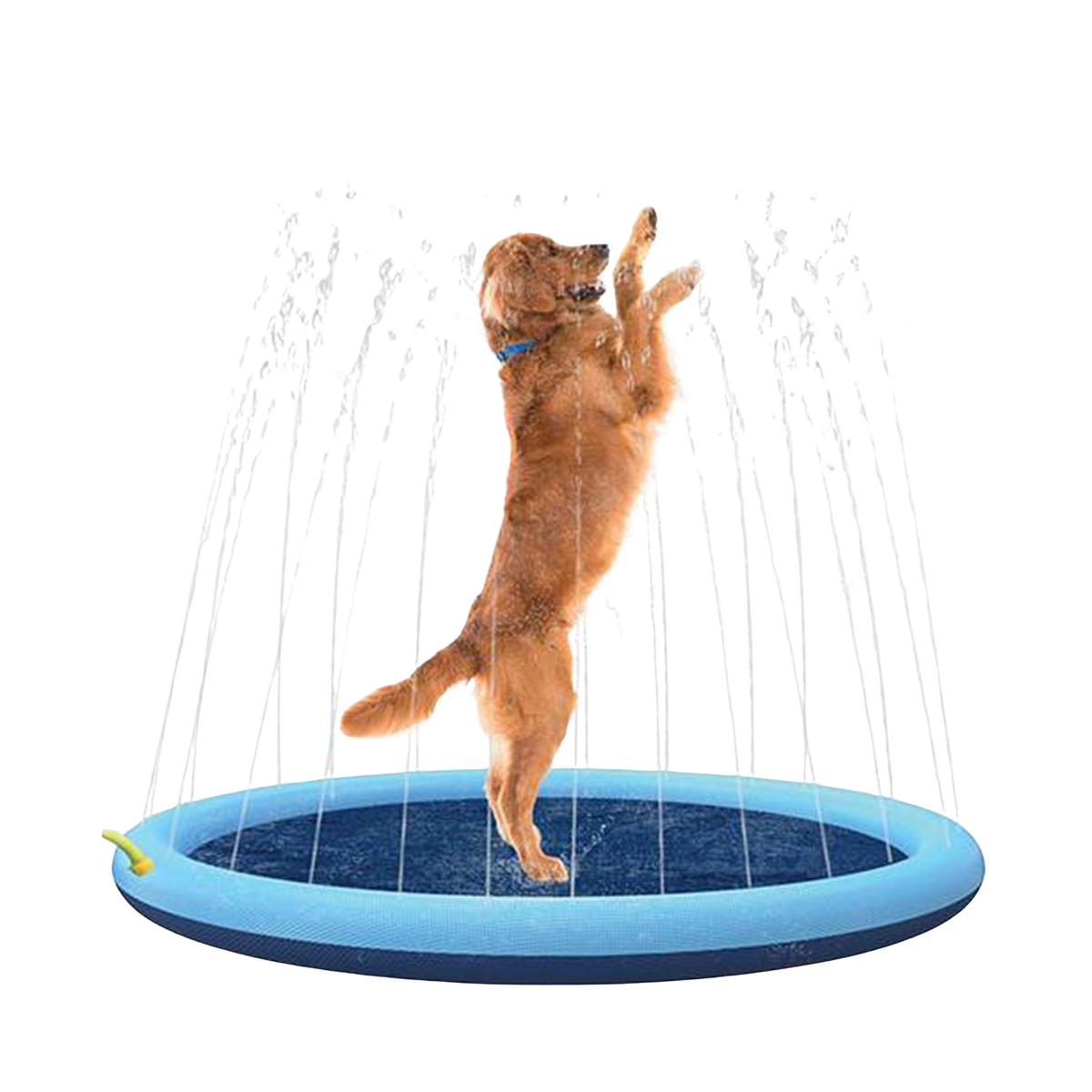 Dog splash pad