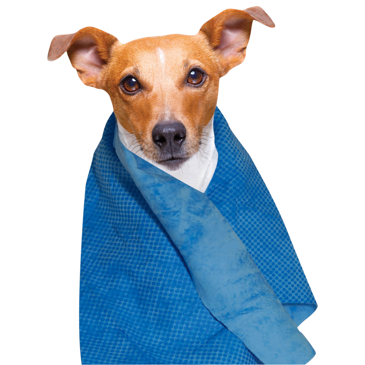 Cooling Towel for Dogs and Cats
