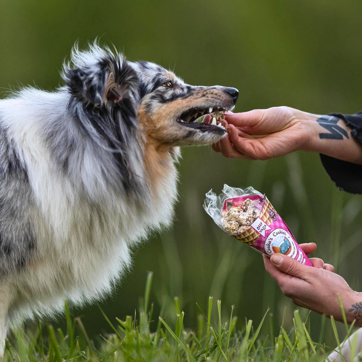 Beef treat cone for dogs