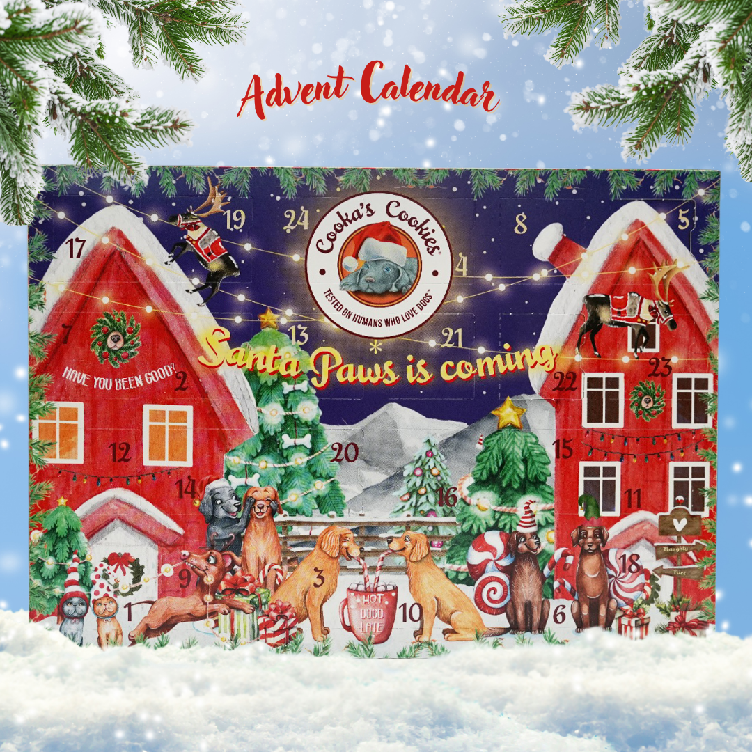 Dog Treat Advent Calendar