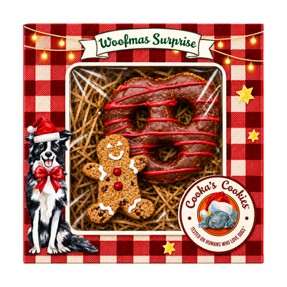 Coffret de biscuits de Noël à la dinde pour chiens