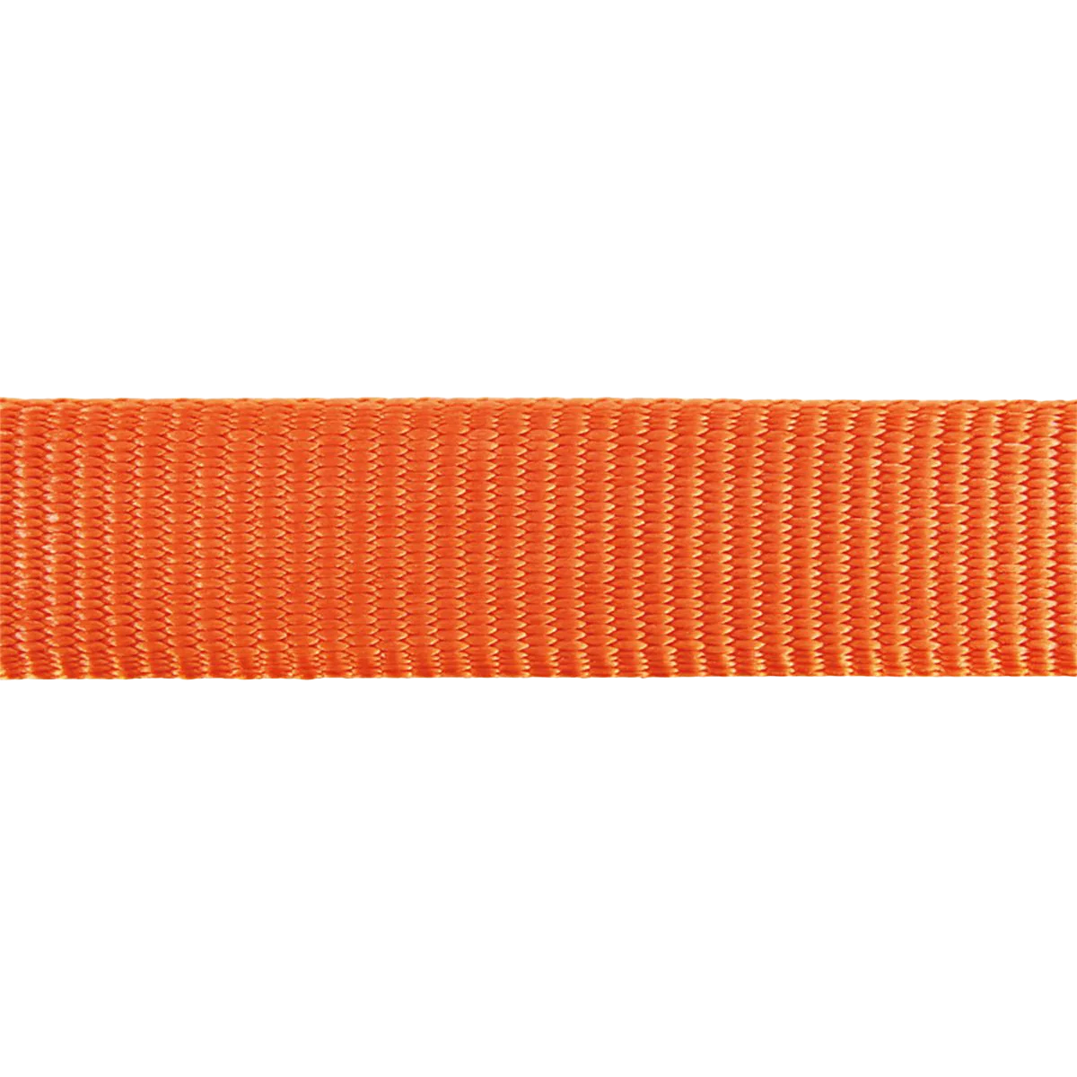 Collier réglable en nylon pour chiens