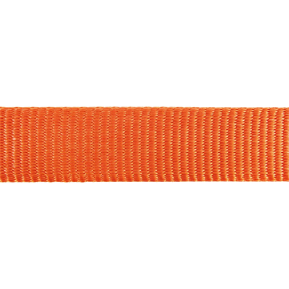 Collier réglable en nylon pour chiens