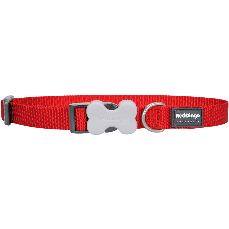 Collier réglable en nylon pour chiens