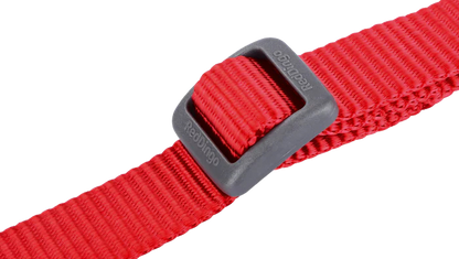 Collier réglable en nylon pour chiens