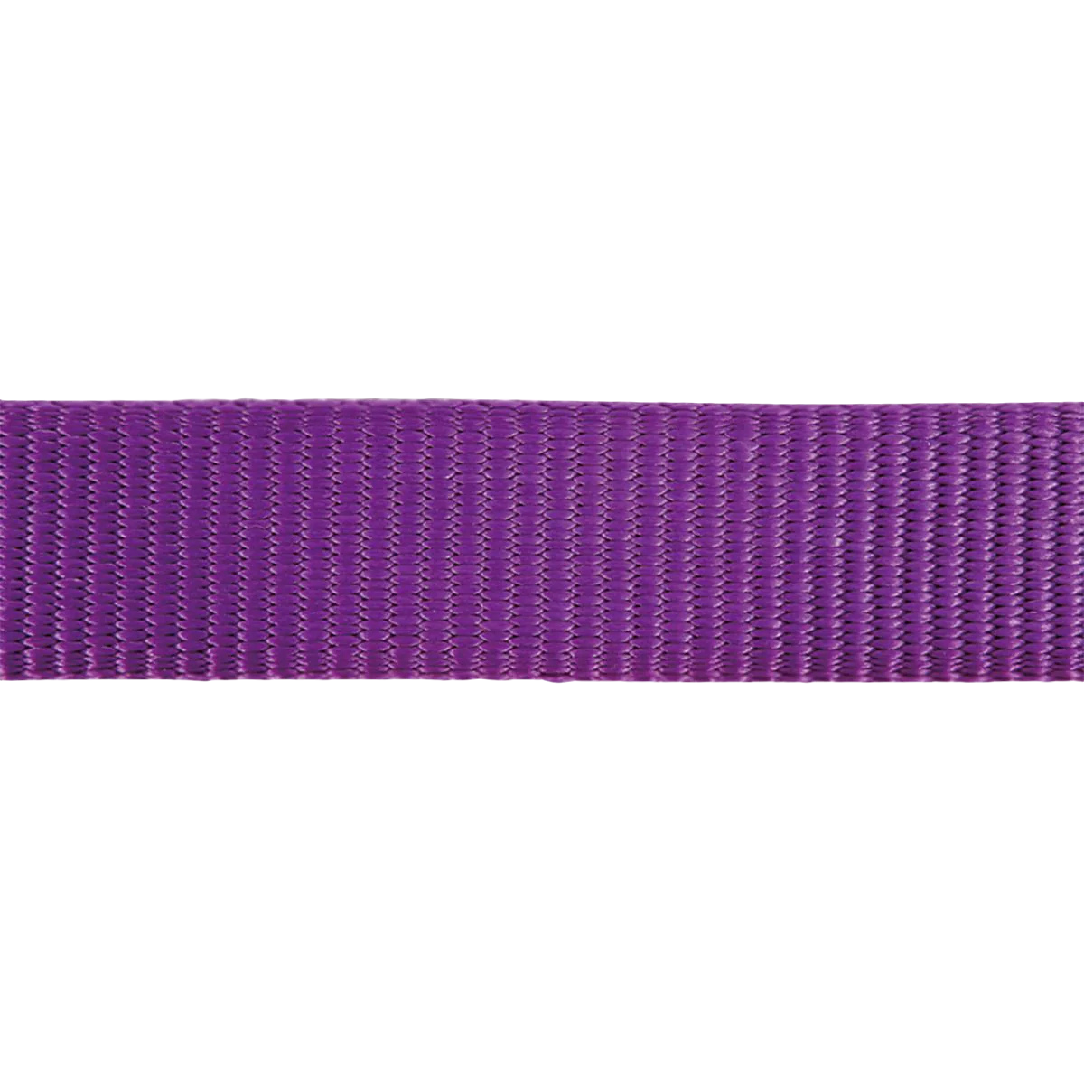Collier réglable en nylon pour chiens