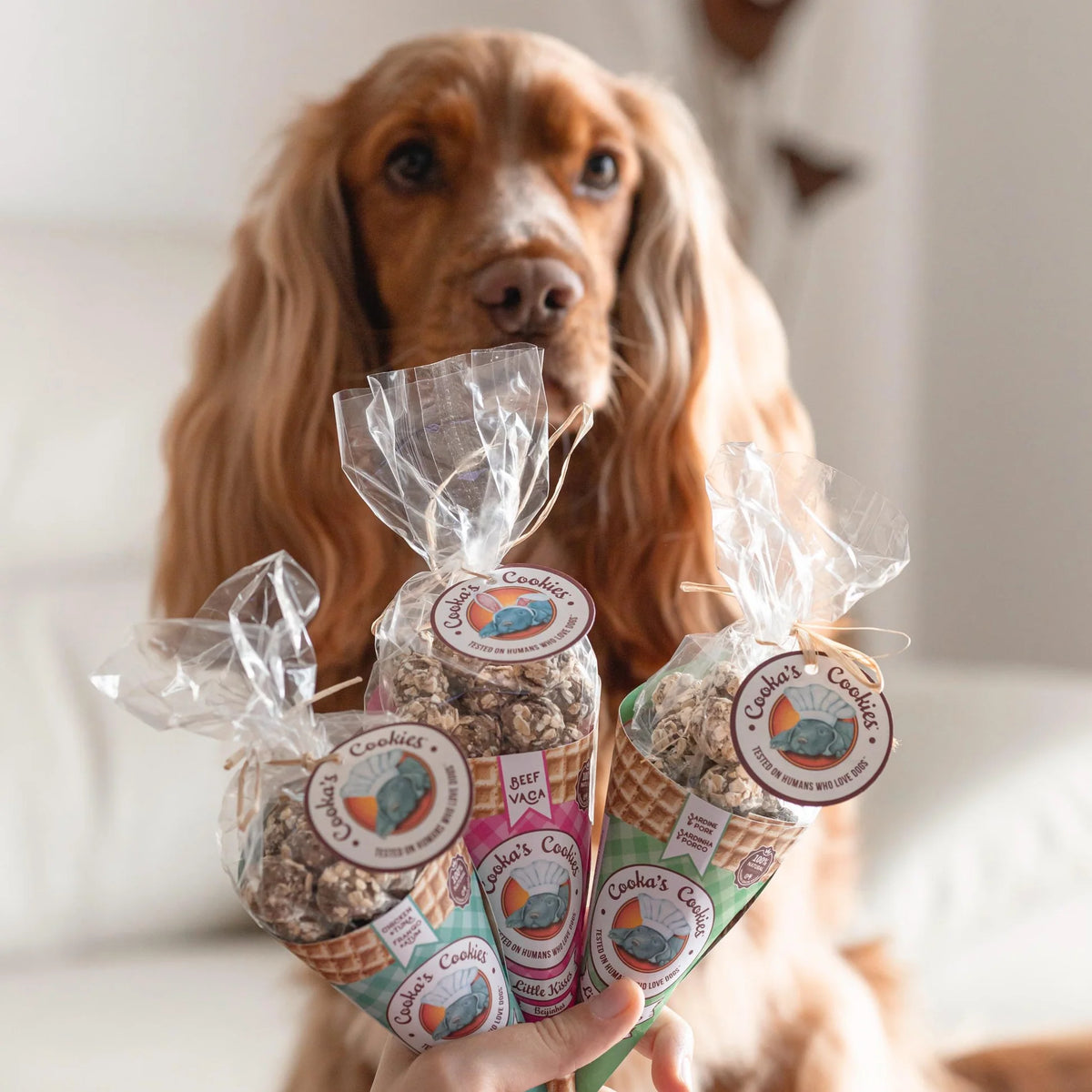 Pork and sardine treat cone for dogs