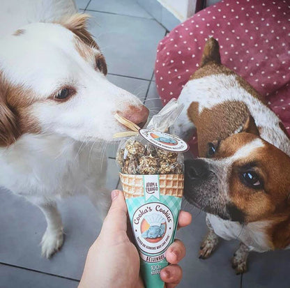 Cornet de friandises poulet et thon pour chiens