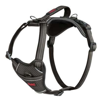 Adjustable anatomical dog harness