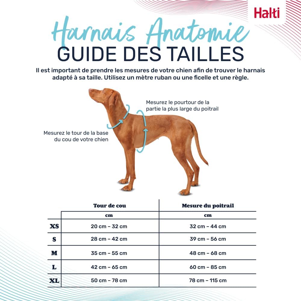 Adjustable anatomical dog harness