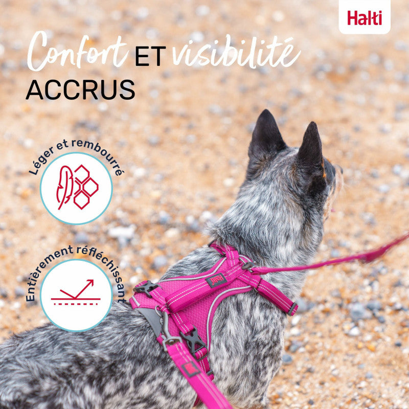 Adjustable anatomical dog harness